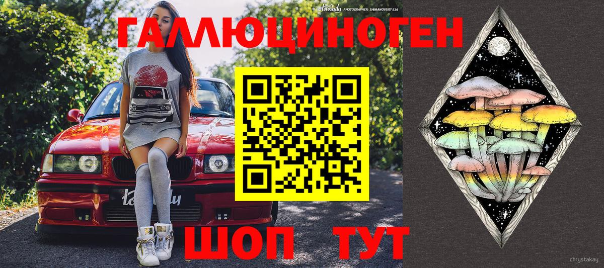 Галлюциногенные грибы Psilocybine cubensis Медногорск