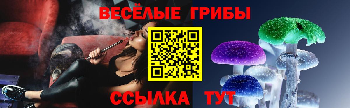 Медногорск  Псилоцибиновые грибы MAGIC MUSHROOMS  Вход с VPN 